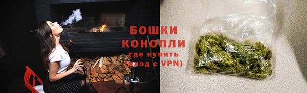 гидропоника Дмитриев
