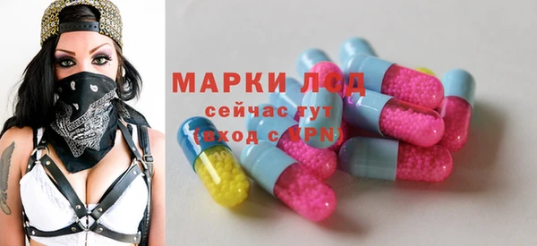 гидропоника Дмитриев