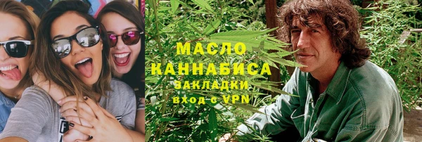 гидропоника Дмитриев
