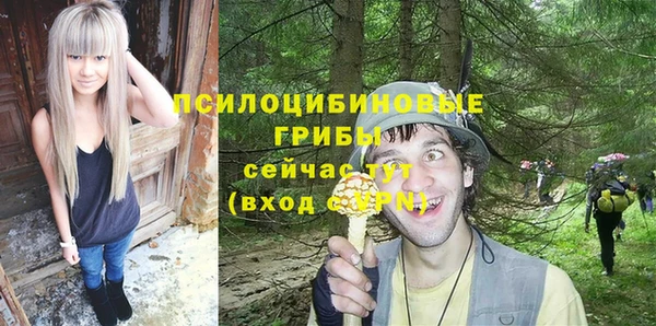 гидропоника Дмитриев