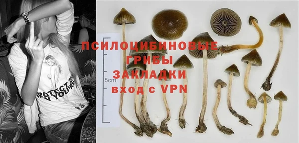 гидропоника Дмитриев
