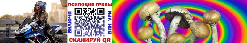 Купить где Острогожск Галлюциногенные грибы Psilocybe